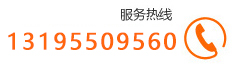 13195509560